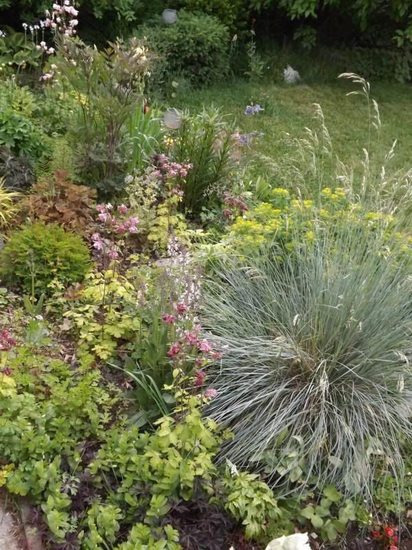 Patio garden 6/14/13 photo 6-8to6-14-13091_zps349e097e.jpg